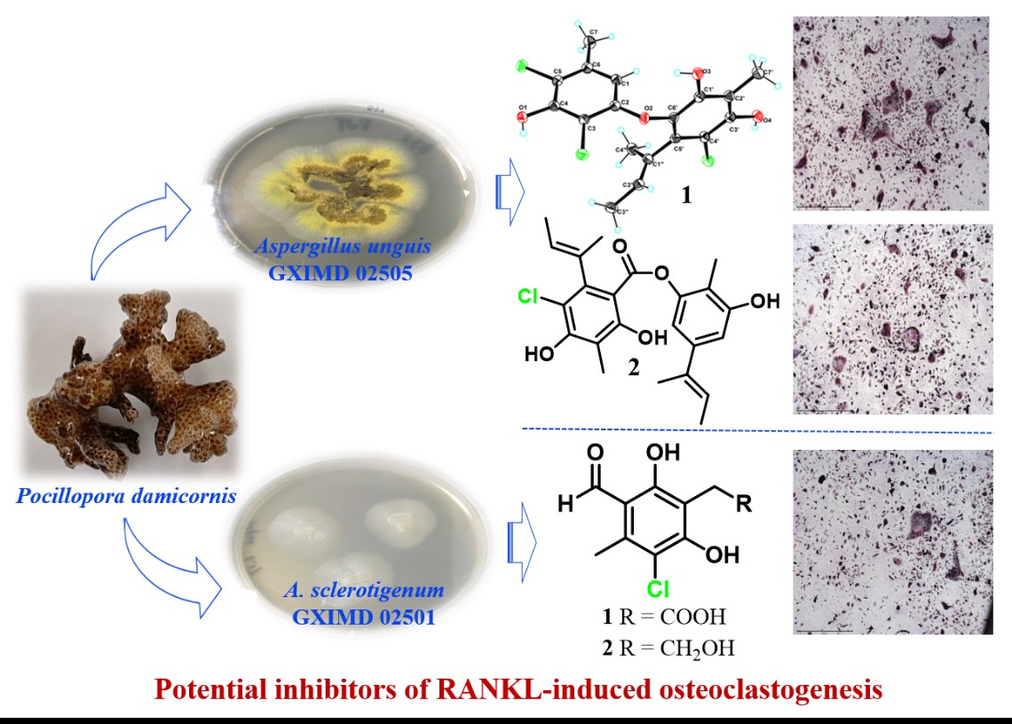 202206161014124970.jpg 202206161014124970.jpg