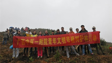 一附院青年积极参加2014年区直单位青年植树活动