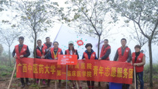 一附院青年志愿者积极参加区直机关青年育林绿化行动