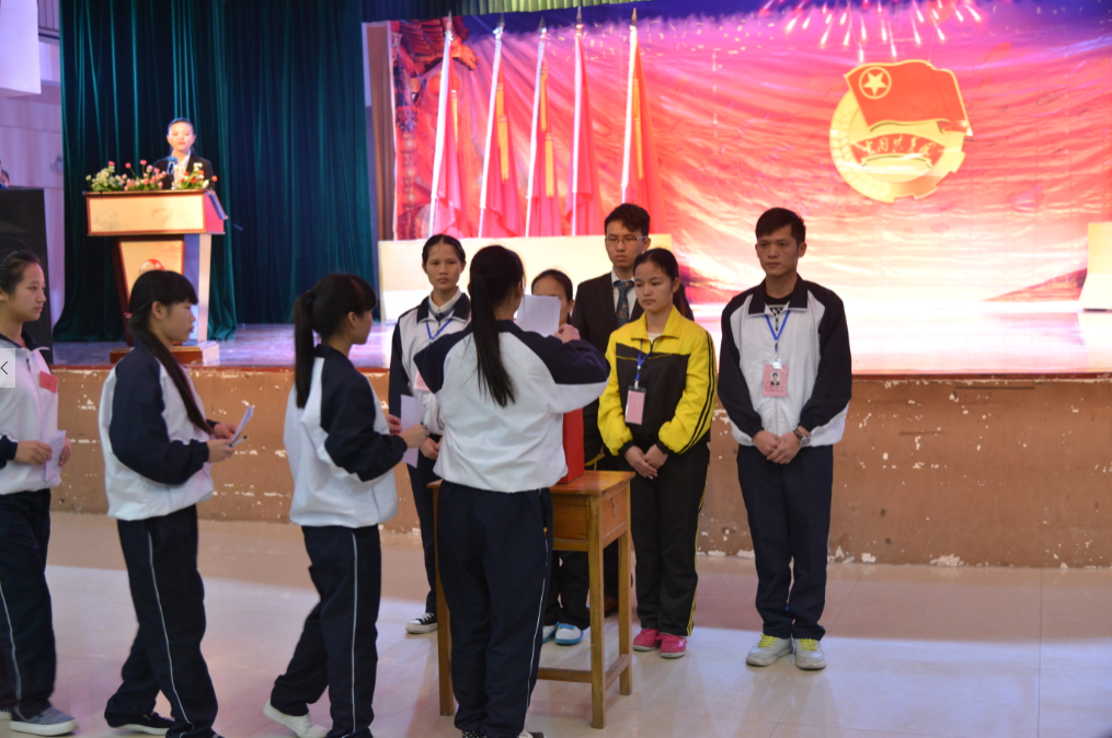 正式代表有序投票