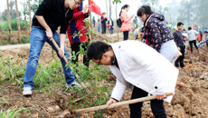 瑞康临床医学院积极参加 2016年“绿美广西 青年先行”区直机关青年育林绿化活动