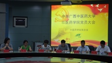 壮医药学院党总支召开“两学一做”学习教育专题会