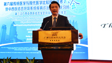 第六届传统医学与现代医学比较国际学术大会暨中西医结合呼吸系统疾病诊治新进展学习班在南宁举行