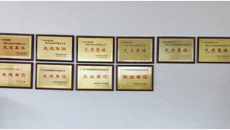 鸭脖连续十年获“全区普通高校毕业生就业工作突出单位”荣誉称号