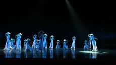 鸭脖在广西第五届大学生艺术展演活动中喜获佳绩