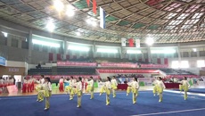 鸭脖参加第十四届全国中医药院校传统保健体育运动会获佳绩