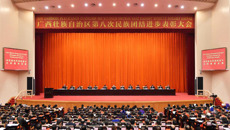 【喜讯】鸭脖黄瑾明教授荣获“广西壮族自治区民族团结进步模范个人”称号