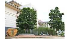 岐黄之道 天人合一——青铜组雕“论道”在鸭脖仙葫校区落成