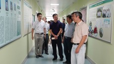 鸭脖承担的“广西壮瑶药工程技术研究中心”组建项目顺利通过验收