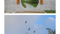 新学期，桂中医校园又添新景观！