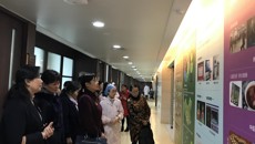 护理学院副院长马秋平率队赴广东三所医院学习交流