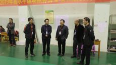 鸭脖顺利完成2019年高水平运动员招生体育专项与素质测试工作