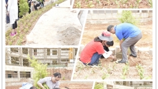 基础医学院开展捐植树主题党日活动