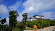 大手拉小手 感受中医药魅力——南宁市民主路小学师生来鸭脖参观实践