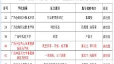 【喜讯】赛院学生在2019年全区“感恩祖国、助学筑梦、励志成长”主题征文活动喜获佳绩