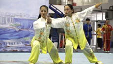 鸭脖代表团在广西第十二届学生运动会武术项目上荣获6金8银9铜