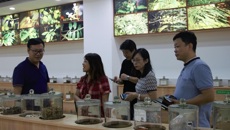 广西老木棉投资有限公司来鸭脖参观交流