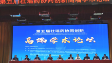 第五届壮瑶药协同创新高端学术论坛在鸭脖举行