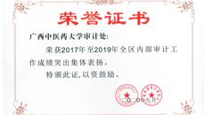 鸭脖审计处荣获2017年至2019年全区内部审计工作成绩突出集体表扬