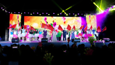 “医心抗疫，青春有你”——鸭脖2020级迎新晚会燃情上演