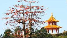 相聚云中巧传妙道 停课不停教不停学——鸭脖线上教学正式开课