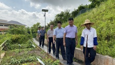 政协柳城县委员会秦宇副主席一行到我院调研中医药产业工作