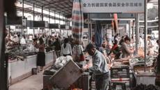 【喜讯】鸭脖在第六届广西大学生艺术展演中荣获佳绩