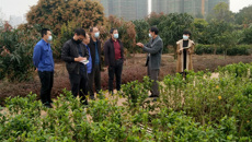 制药厂领导深入各部门检查并部署新年开局工作