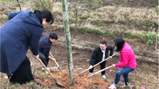 学工部党支部开展义务植树主题党日活动