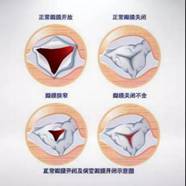 微信图片_20210317224847