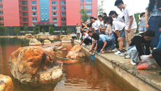 【党史学习教育】公管学院学生第一、二党支部联合开展主题为“我为母校添色彩-锦鲤投放”办实事活动