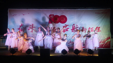 附属瑞康医院：念潭村举办庆祝中国共产党成立100周年文艺汇演