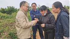 YABO鸭脖药学院黄荣韶教授应邀到崇左市调研指导中药材产业