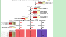 YABO鸭脖在中药资源利用研究中取得新进展