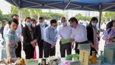 坚定文化自信，传承中医国粹——2022年中医药文化传播行动暨广西中医药壮瑶医药文化内涵提升工程启动仪式在梧州举行