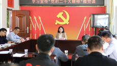 鸭脖离任驻村工作队员赴隆安县开展“回头看回头访回头帮”活动