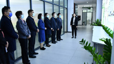 广西农业职业技术大学到鸭脖考察交流