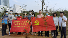 【我为群众办实事】广西乡村科技特派员与基础医学院第一党支部党员赴金花茶种植基地开展春耕服务活动