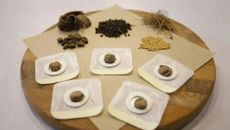 冬病夏治！三伏贴开贴啦！