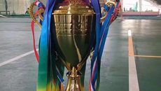 鸭脖男女排球队在广西学生运动会中喜获佳绩