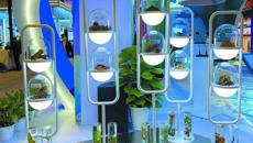 【广西新闻网】成交项目合计金额超4亿美元！广西服务贸易项目招商推介会在京举行