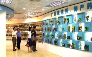 广西道地药、特产药