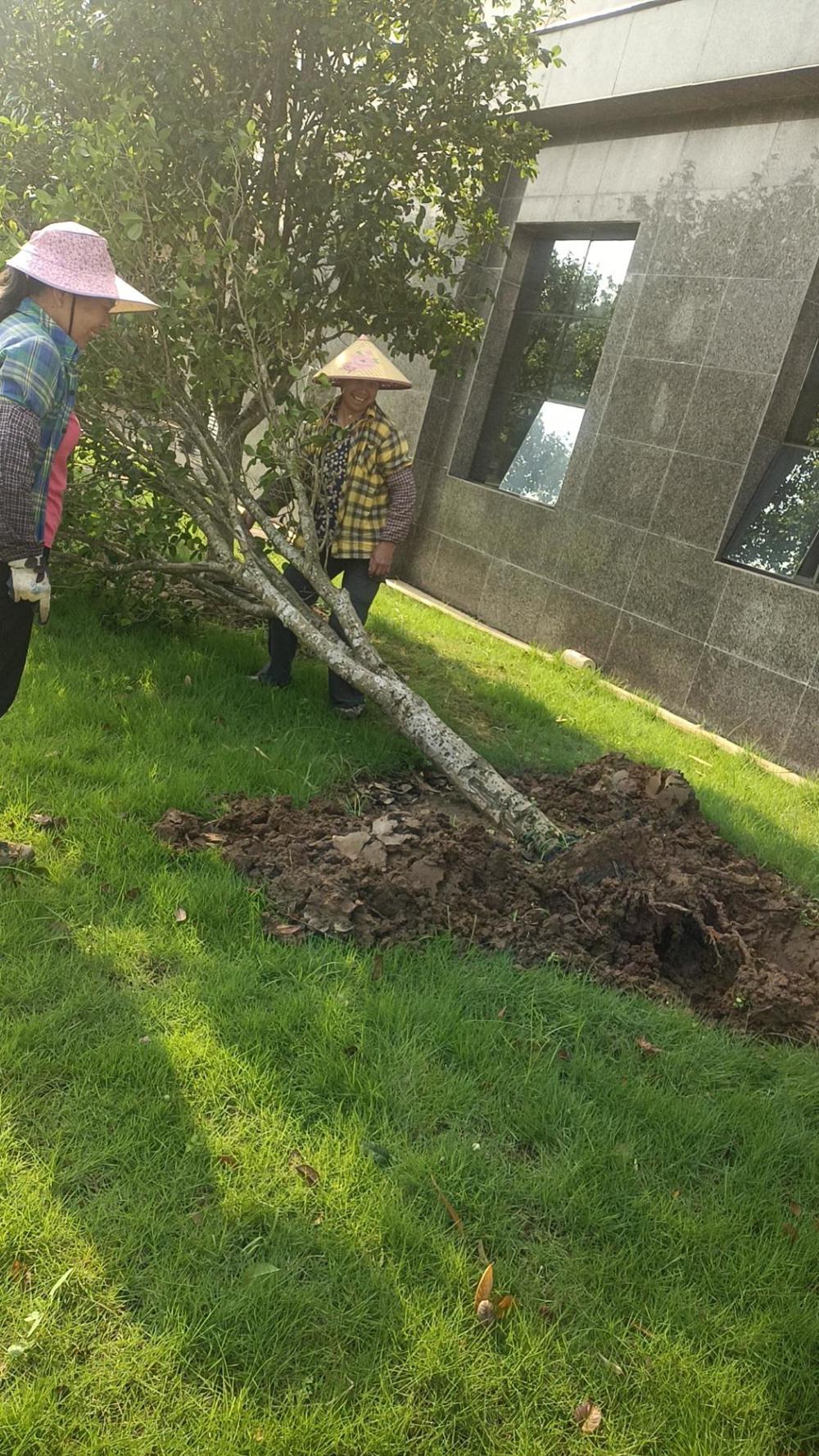 785b63d09f61f59e3d9f5e51786eedc