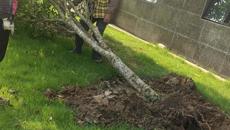 “五一”假期后勤处积极应对暴雨天气，全力保障校园安全