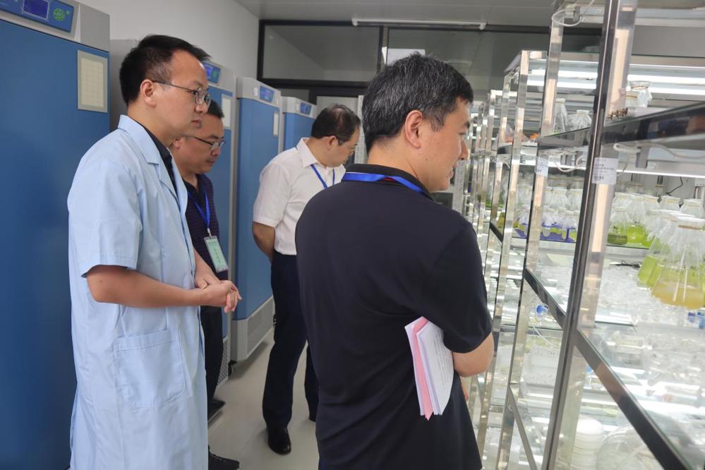 添加图片描述 添加图片描述