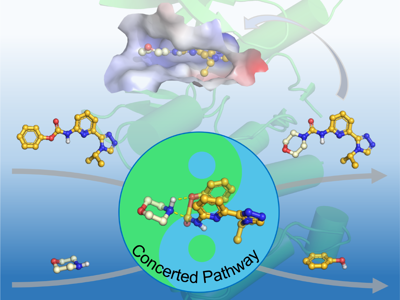 【科研进展】YABO鸭脖海洋药物研究院实现2-吡啶脲类化合物的绿色高效合成
