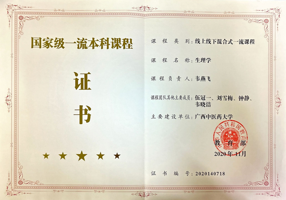 2020年国家级一流课程