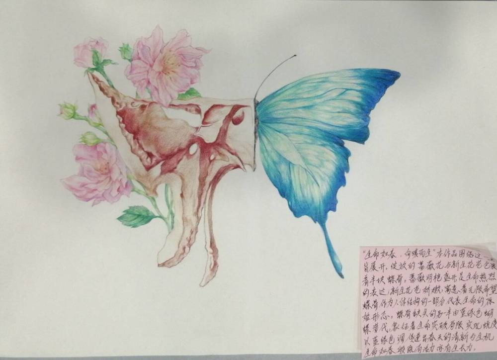 作品16号壮医药学院24级壮医1班何国悦