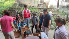 【乡村振兴】附属瑞康医院：万羽鸡苗送进村，助力农民增收致富