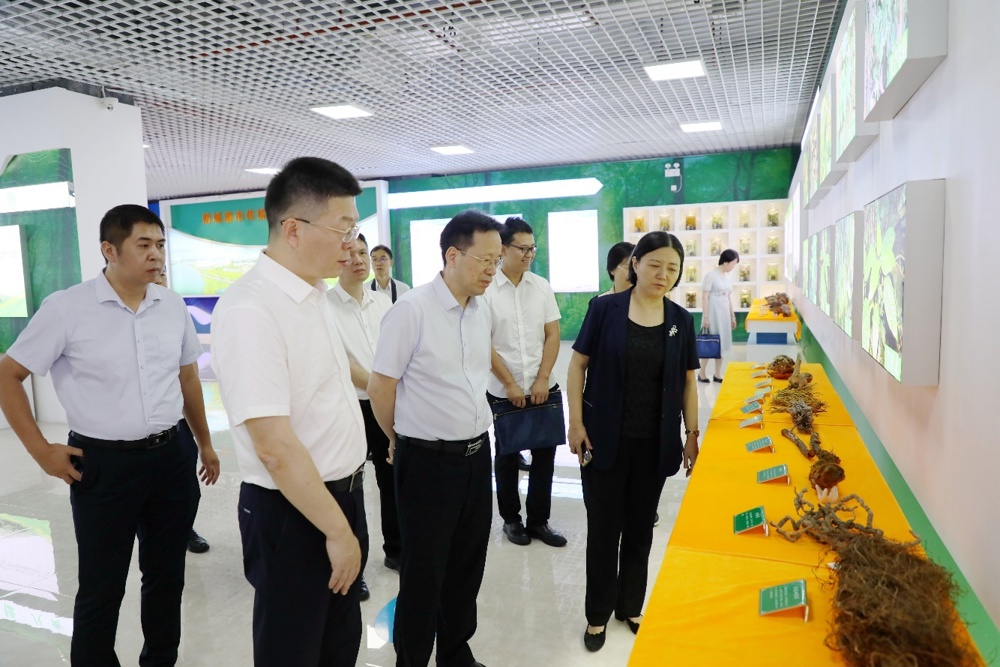 人们站在一起

中度可信度描述已自动生成